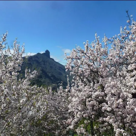 Juan Y Juana Canino Tejeda (Gran Canaria)